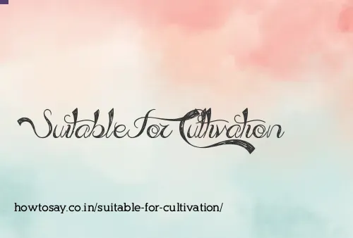 Suitable For Cultivation