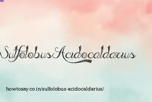 Sulfolobus Acidocaldarius