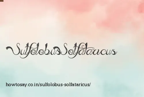 Sulfolobus Solfataricus