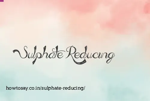 Sulphate Reducing