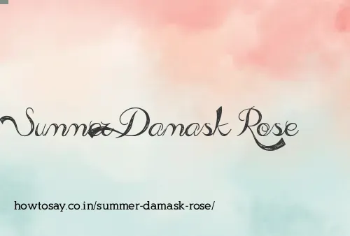 Summer Damask Rose