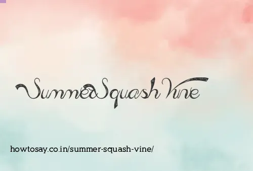 Summer Squash Vine