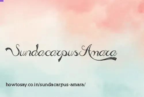 Sundacarpus Amara