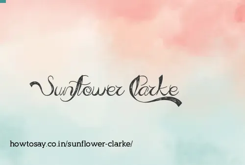 Sunflower Clarke