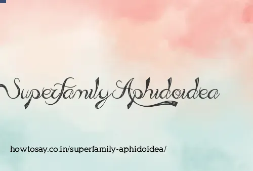Superfamily Aphidoidea