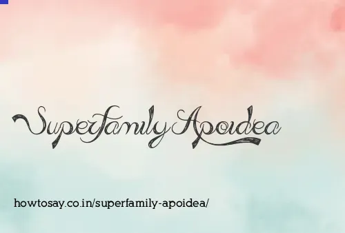 Superfamily Apoidea