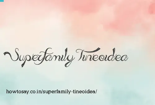 Superfamily Tineoidea