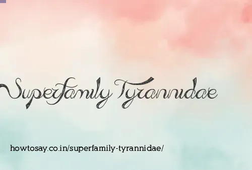 Superfamily Tyrannidae