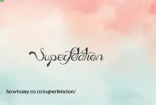 Superfetation