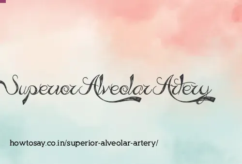 Superior Alveolar Artery