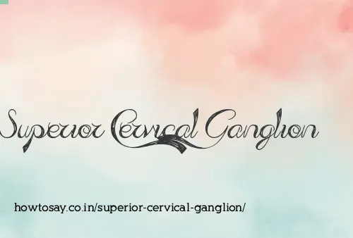 Superior Cervical Ganglion