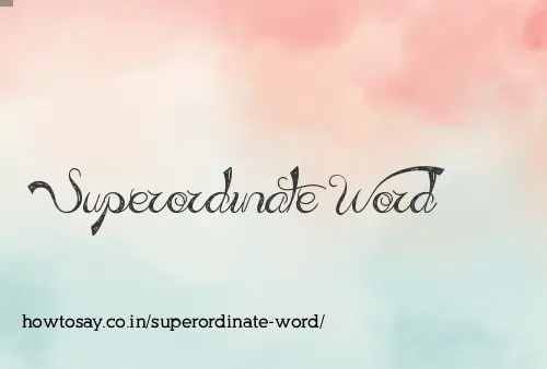 Superordinate Word