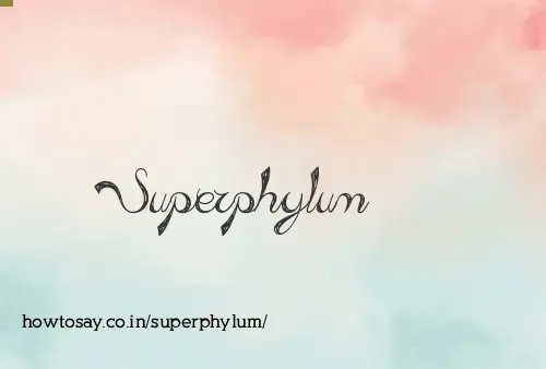 Superphylum