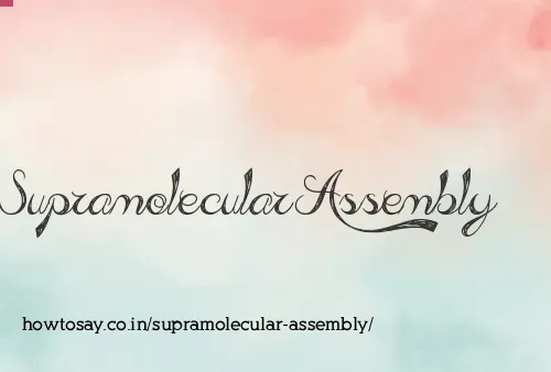 Supramolecular Assembly