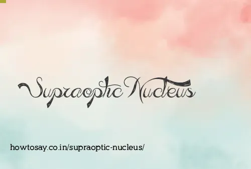 Supraoptic Nucleus