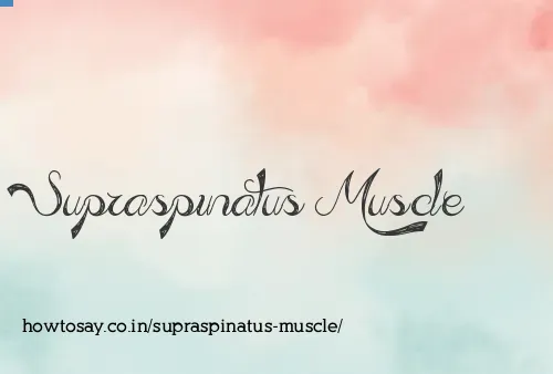 Supraspinatus Muscle