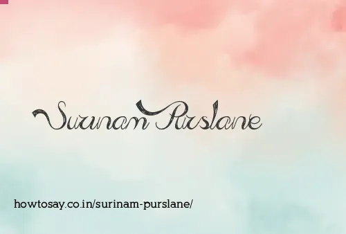 Surinam Purslane