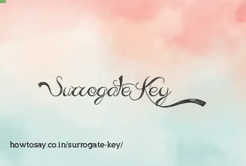 Surrogate Key
