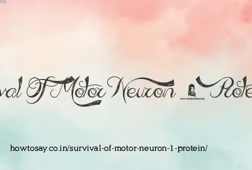 Survival Of Motor Neuron 1 Protein