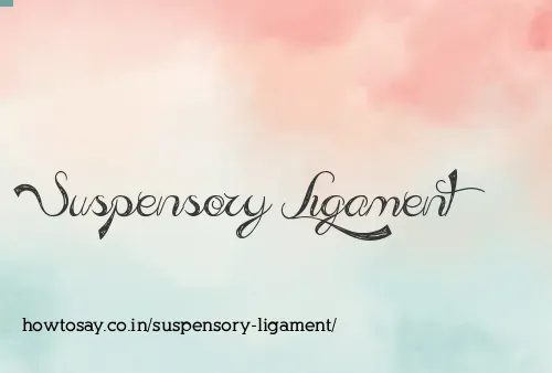 Suspensory Ligament
