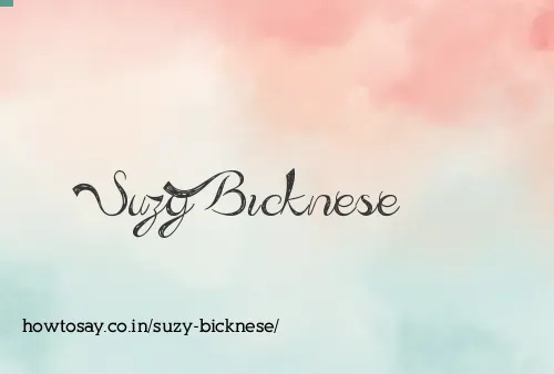 Suzy Bicknese