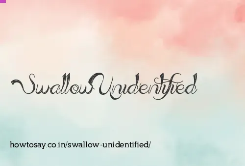 Swallow Unidentified