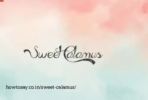 Sweet Calamus
