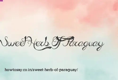Sweet Herb Of Paraguay