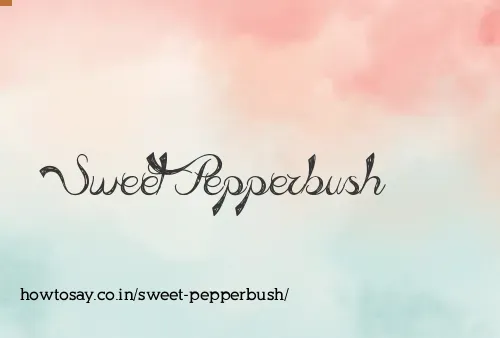 Sweet Pepperbush