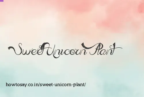 Sweet Unicorn Plant