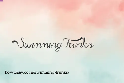 Swimming Trunks
