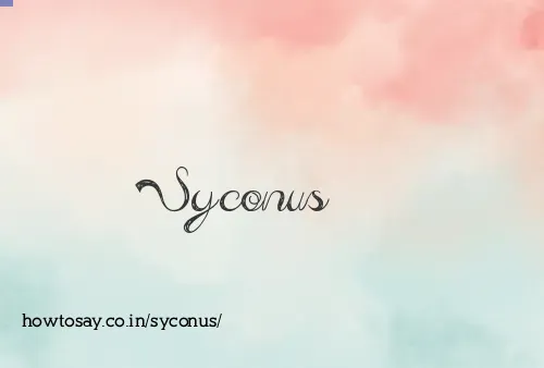 Syconus