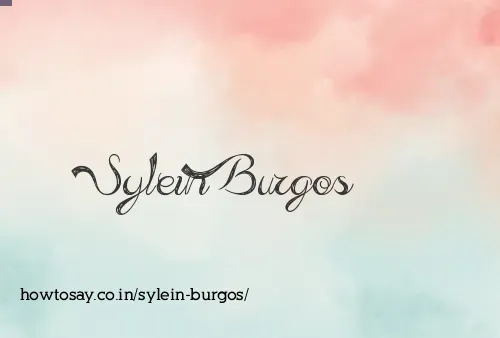 Sylein Burgos