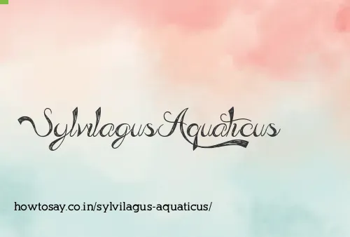 Sylvilagus Aquaticus