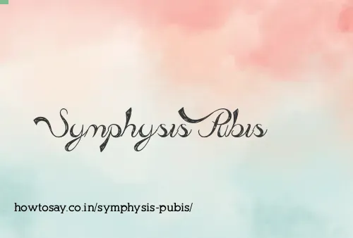 Symphysis Pubis