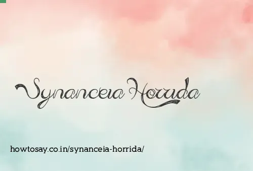 Synanceia Horrida