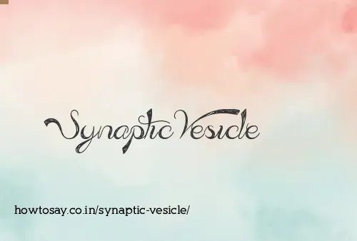 Synaptic Vesicle