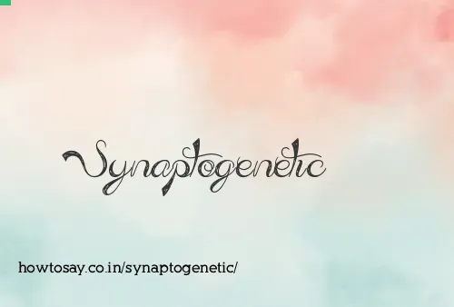 Synaptogenetic