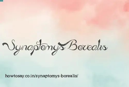 Synaptomys Borealis