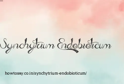 Synchytrium Endobioticum