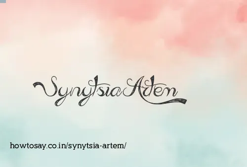 Synytsia Artem