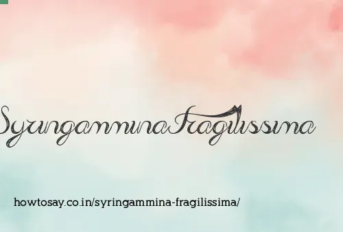 Syringammina Fragilissima