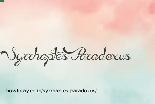 Syrrhaptes Paradoxus