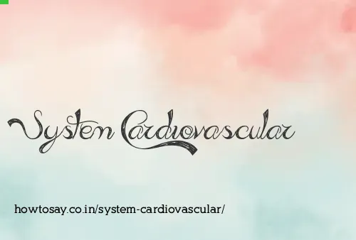 System Cardiovascular
