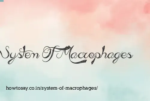 System Of Macrophages