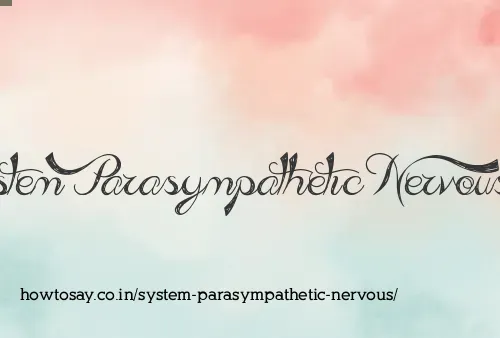 System Parasympathetic Nervous