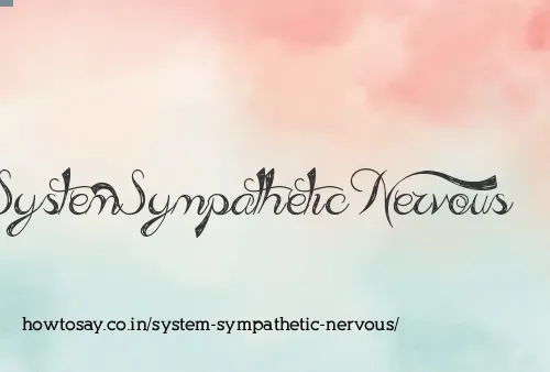 System Sympathetic Nervous
