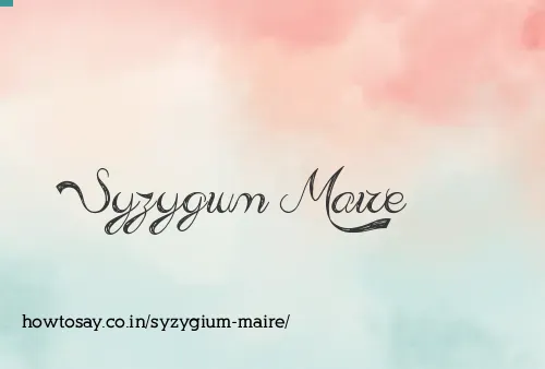 Syzygium Maire