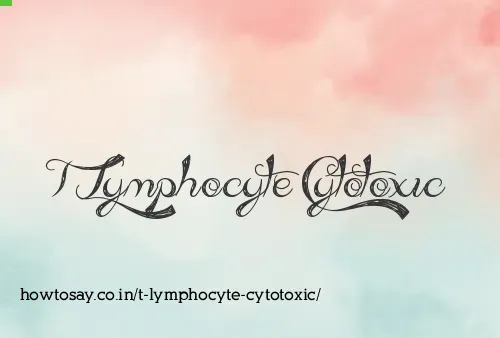 T Lymphocyte Cytotoxic