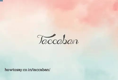 Taccaban